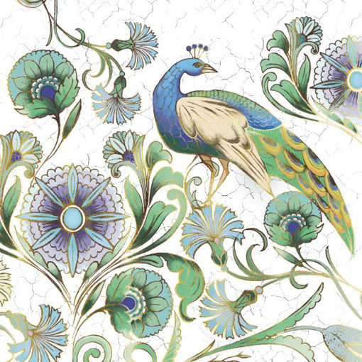 Picture of PEACOCK BLANK CARD INSIDE